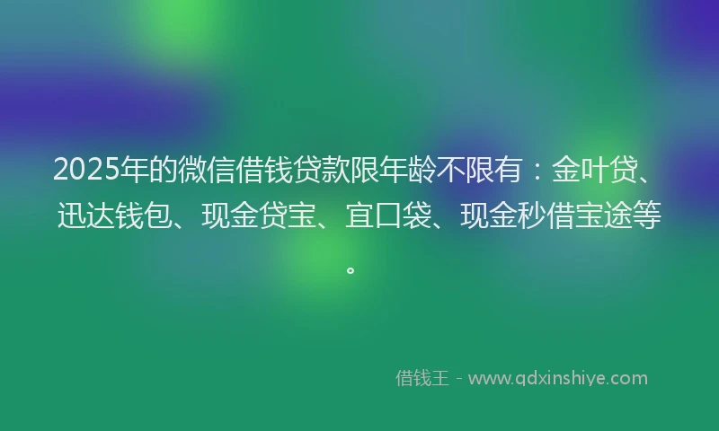 2025年的微信借钱贷款限年龄不限有：金叶贷、迅达钱包、现金贷宝、宜口袋、现金秒借宝途等。