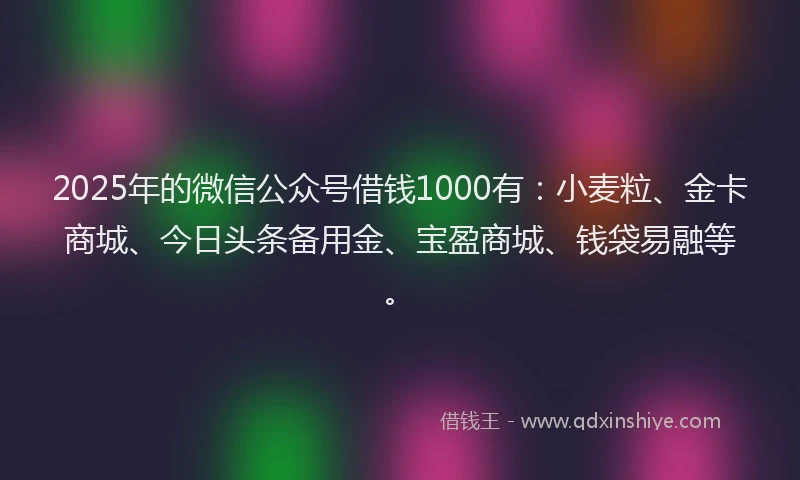 2025年的微信公众号借钱1000有：小麦粒、金卡商城、今日头条备用金、宝盈商城、钱袋易融等。