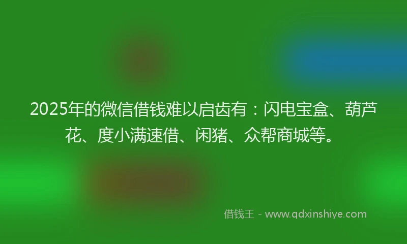 2025年的微信借钱难以启齿有：闪电宝盒、葫芦花、度小满速借、闲猪、众帮商城等。