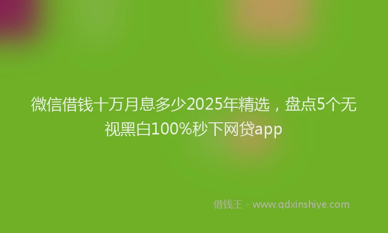 微信借钱十万月息多少2025年精选，盘点5个无视黑白100%秒下网贷app