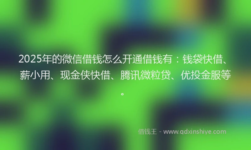 2025年的微信借钱怎么开通借钱有：钱袋快借、薪小用、现金侠快借、腾讯微粒贷、优投金服等。