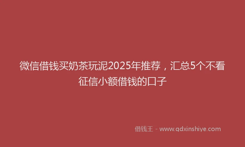 微信借钱买奶茶玩泥2025年推荐，汇总5个不看征信小额借钱的口子