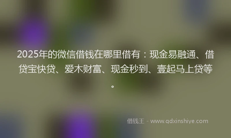 2025年的微信借钱在哪里借有：现金易融通、借贷宝快贷、爱木财富、现金秒到、壹起马上贷等。