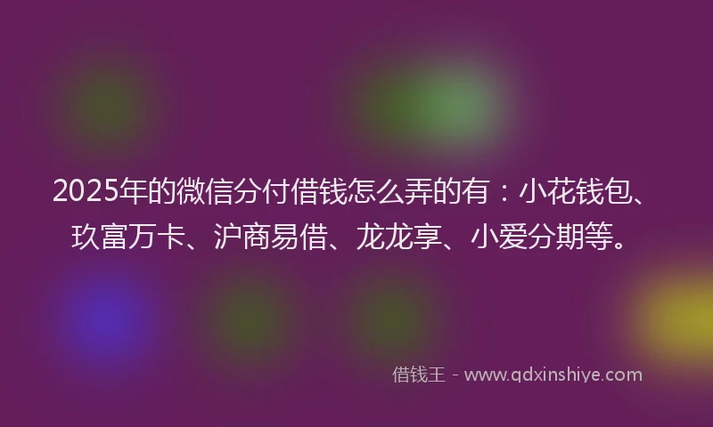 2025年的微信分付借钱怎么弄的有：小花钱包、玖富万卡、沪商易借、龙龙享、小爱分期等。