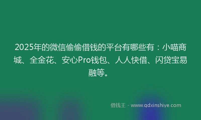 2025年的微信偷偷借钱的平台有哪些有：小喵商城、全金花、安心Pro钱包、人人快借、闪贷宝易融等。