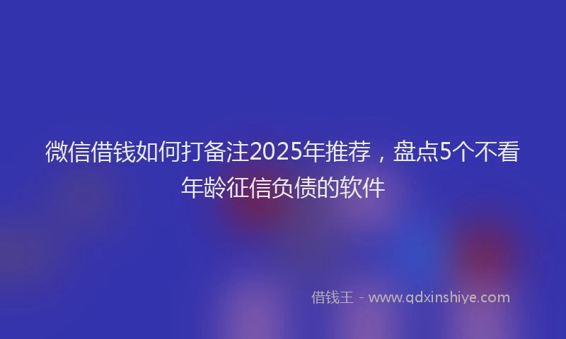 微信借钱如何打备注2025年推荐，盘点5个不看年龄征信负债的软件