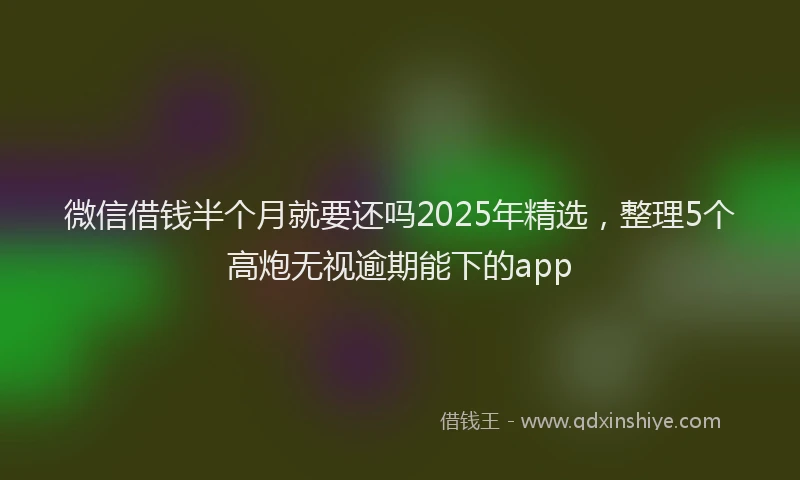 微信借钱半个月就要还吗2025年精选，整理5个高炮无视逾期能下的app