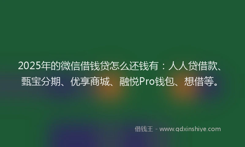 2025年的微信借钱贷怎么还钱有：人人贷借款、甄宝分期、优享商城、融悦Pro钱包、想借等。