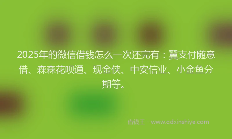 2025年的微信借钱怎么一次还完有：翼支付随意借、森森花呗通、现金侠、中安信业、小金鱼分期等。