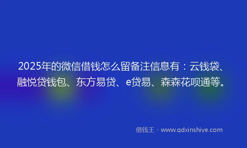 2025年的微信借钱怎么留备注信息有：云钱袋、融悦贷钱包、东方易贷、e贷易、森森花呗通等。
