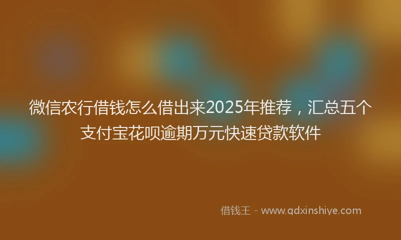 微信农行借钱怎么借出来2025年推荐，汇总五个支付宝花呗逾期万元快速贷款软件