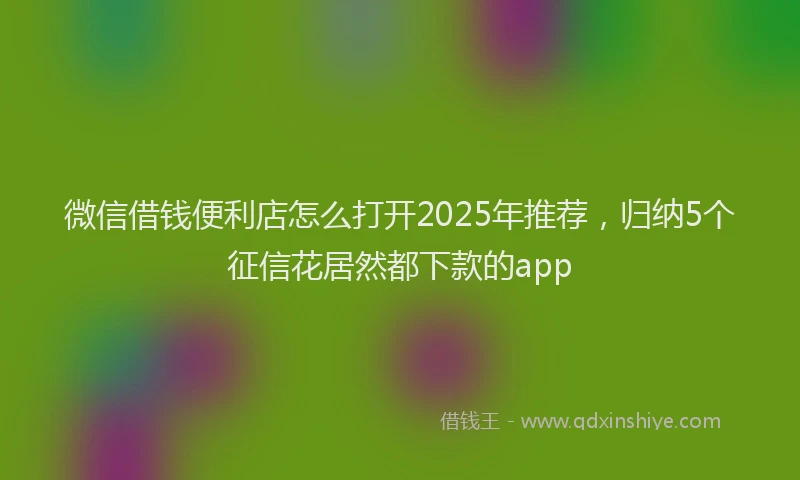 微信借钱便利店怎么打开2025年推荐，归纳5个征信花居然都下款的app