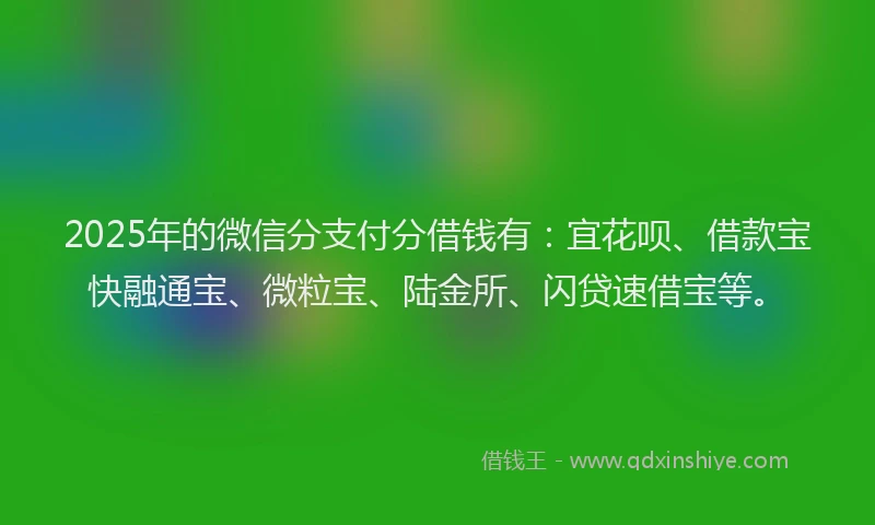 2025年的微信分支付分借钱有：宜花呗、借款宝快融通宝、微粒宝、陆金所、闪贷速借宝等。