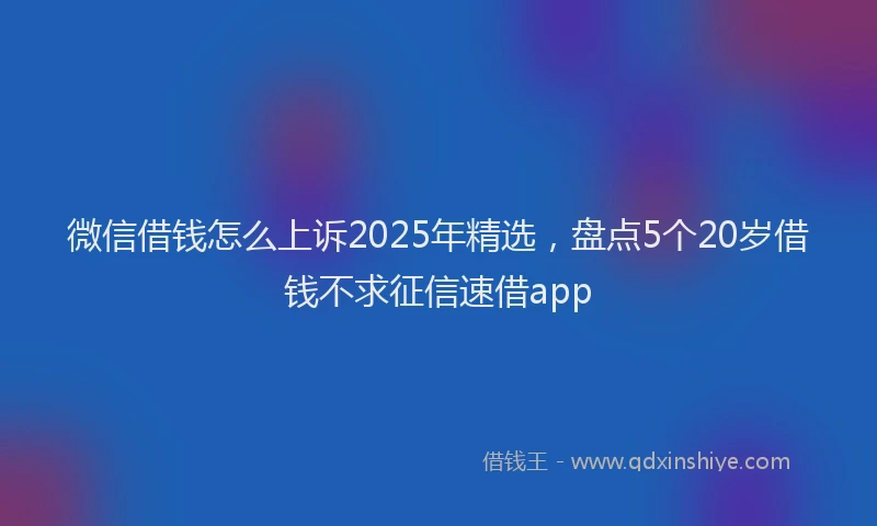 微信借钱怎么上诉2025年精选，盘点5个20岁借钱不求征信速借app
