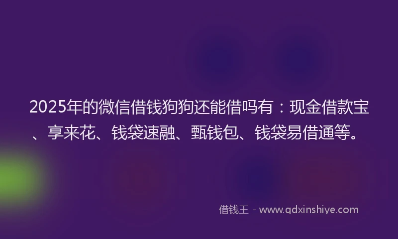 2025年的微信借钱狗狗还能借吗有：现金借款宝、享来花、钱袋速融、甄钱包、钱袋易借通等。