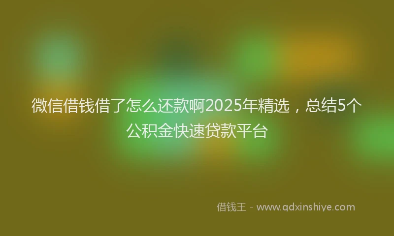 微信借钱借了怎么还款啊2025年精选，总结5个公积金快速贷款平台