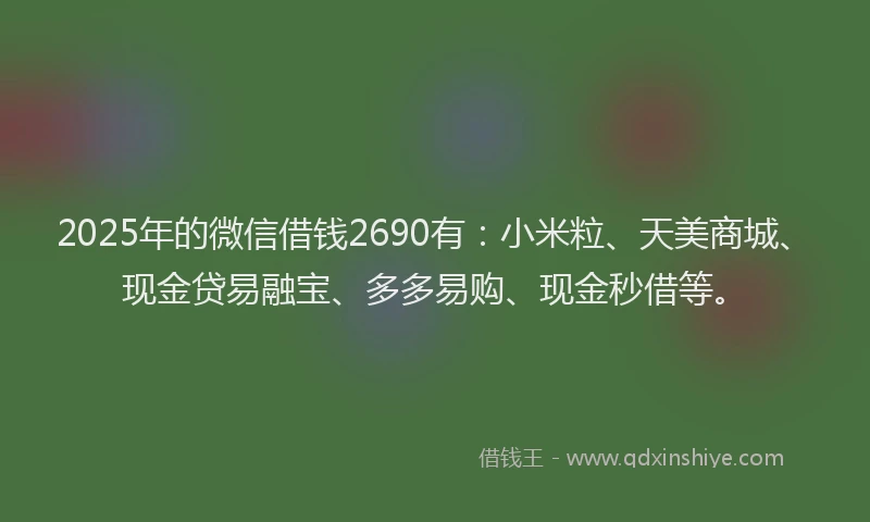 2025年的微信借钱2690有：小米粒、天美商城、现金贷易融宝、多多易购、现金秒借等。