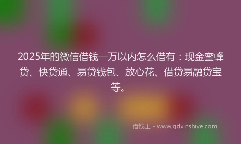 2025年的微信借钱一万以内怎么借有：现金蜜蜂贷、快贷通、易贷钱包、放心花、借贷易融贷宝等。