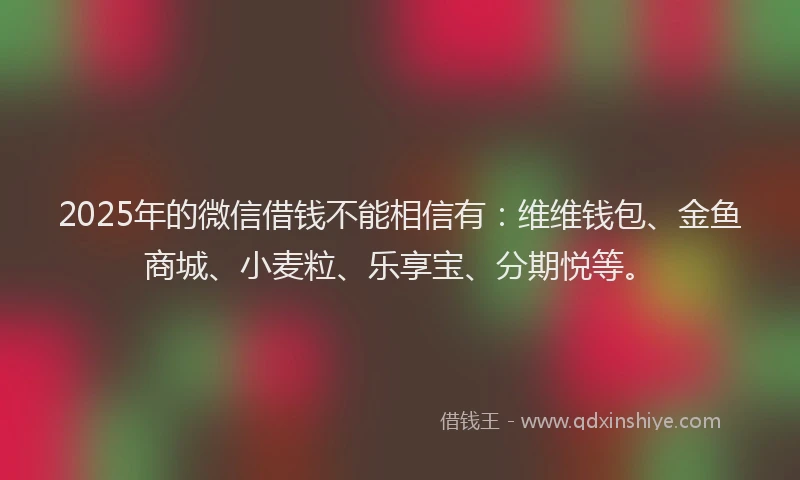 2025年的微信借钱不能相信有：维维钱包、金鱼商城、小麦粒、乐享宝、分期悦等。