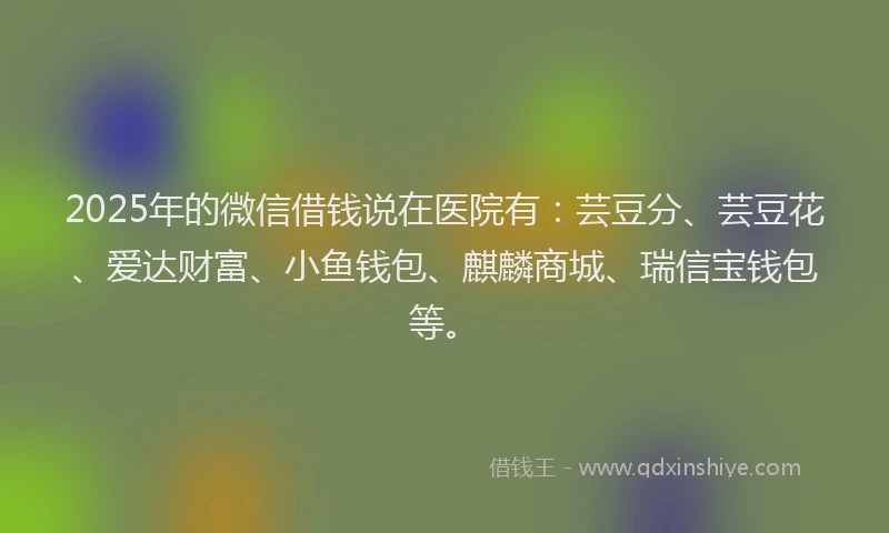 2025年的微信借钱说在医院有：芸豆分、芸豆花、爱达财富、小鱼钱包、麒麟商城、瑞信宝钱包等。
