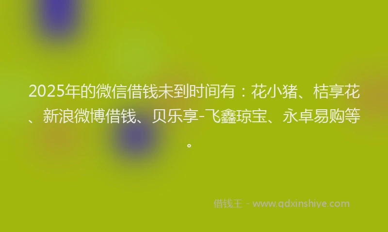 2025年的微信借钱未到时间有：花小猪、桔享花、新浪微博借钱、贝乐享-飞鑫琼宝、永卓易购等。