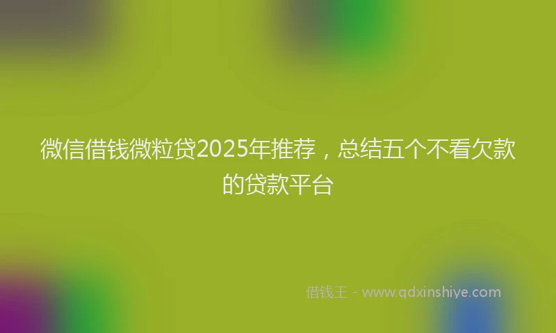微信借钱微粒贷2025年推荐，总结五个不看欠款的贷款平台