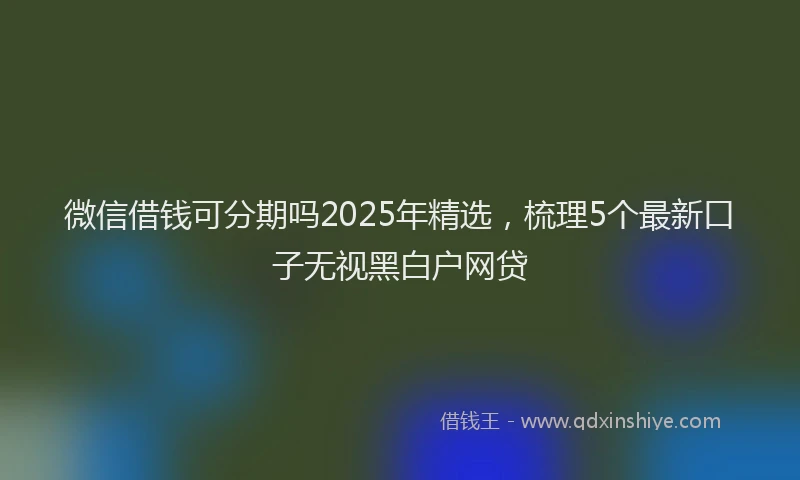 微信借钱可分期吗2025年精选，梳理5个最新口子无视黑白户网贷