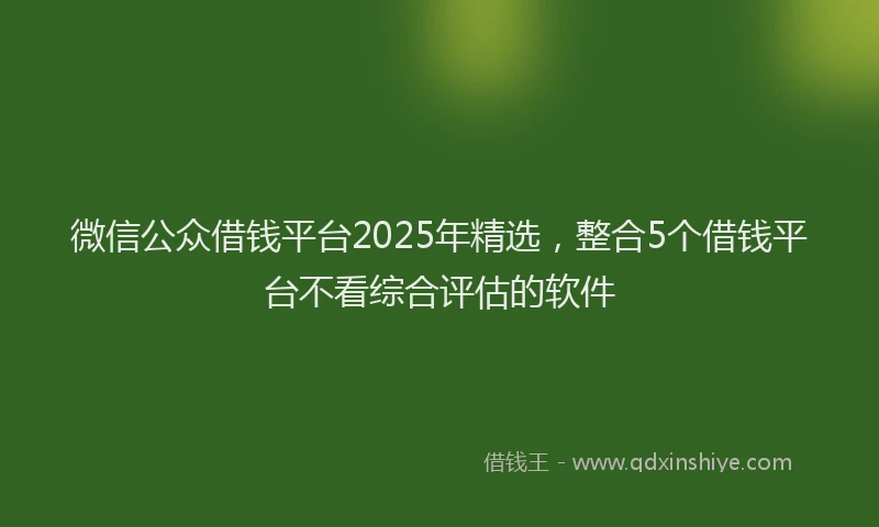 微信公众借钱平台2025年精选，整合5个借钱平台不看综合评估的软件