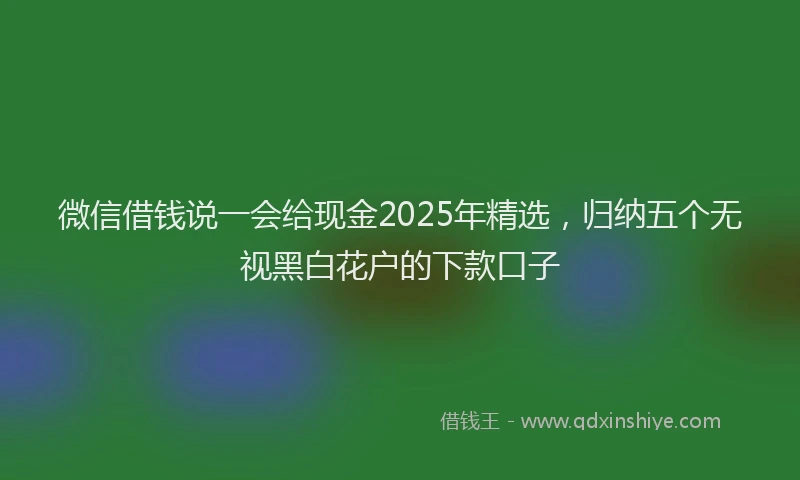 微信借钱说一会给现金2025年精选，归纳五个无视黑白花户的下款口子