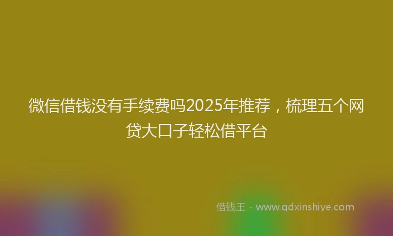 微信借钱没有手续费吗2025年推荐，梳理五个网贷大口子轻松借平台