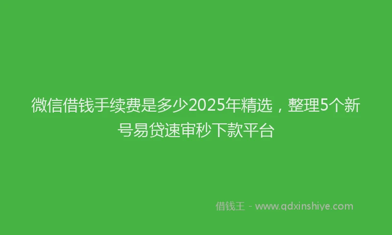 微信借钱手续费是多少2025年精选，整理5个新号易贷速审秒下款平台
