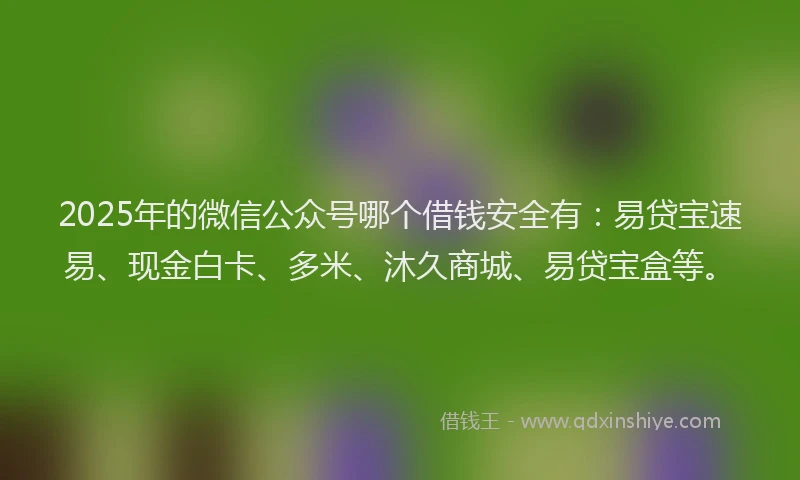 2025年的微信公众号哪个借钱安全有：易贷宝速易、现金白卡、多米、沐久商城、易贷宝盒等。