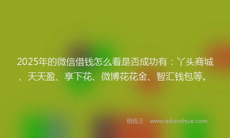 2025年的微信借钱怎么看是否成功有：丫头商城、天天盈、享下花、微博花花金、智汇钱包等。