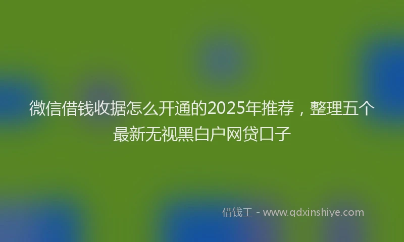 微信借钱收据怎么开通的2025年推荐，整理五个最新无视黑白户网贷口子