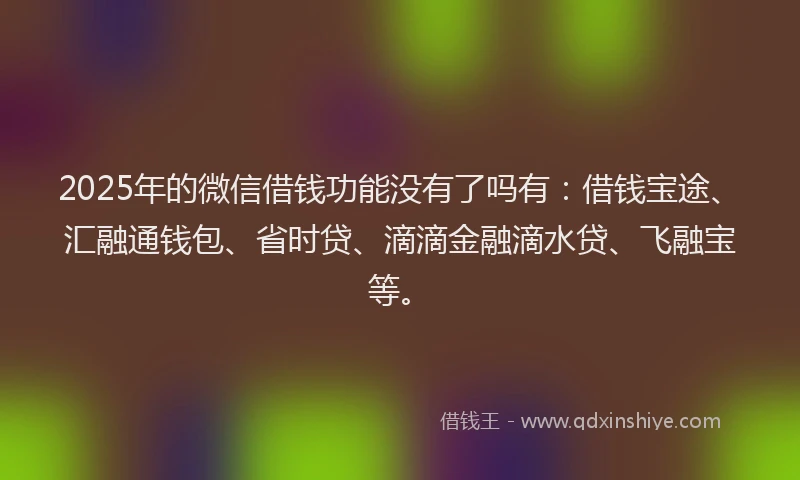 2025年的微信借钱功能没有了吗有：借钱宝途、汇融通钱包、省时贷、滴滴金融滴水贷、飞融宝等。