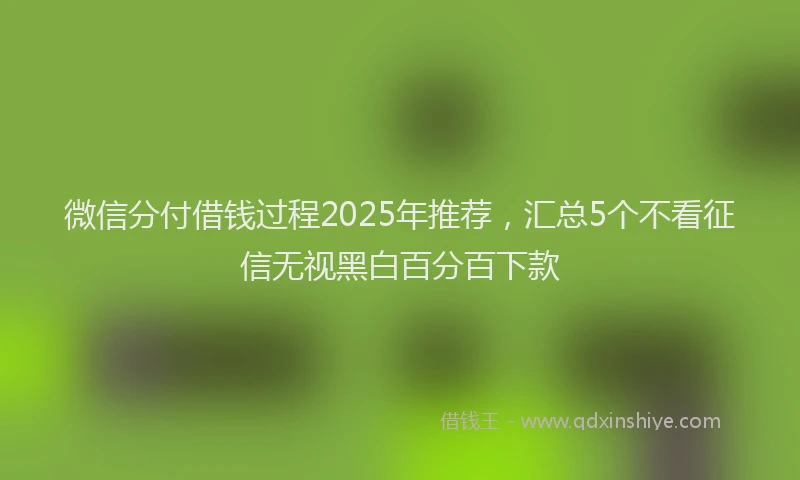 微信分付借钱过程2025年推荐，汇总5个不看征信无视黑白百分百下款