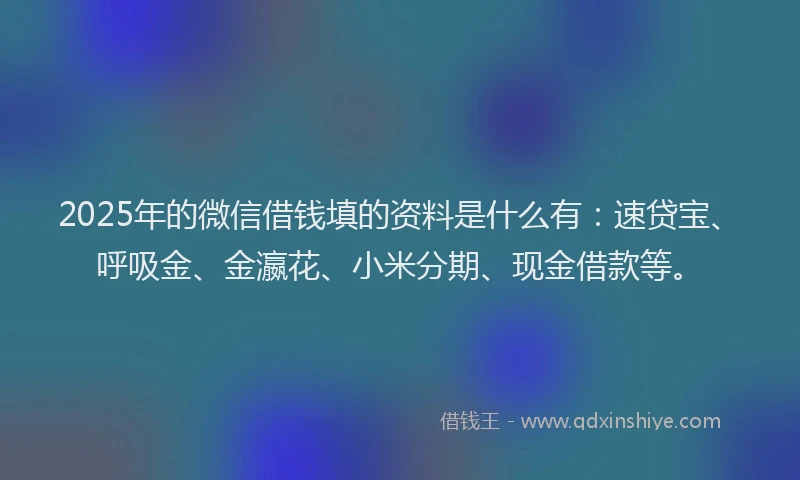 2025年的微信借钱填的资料是什么有：速贷宝、呼吸金、金瀛花、小米分期、现金借款等。