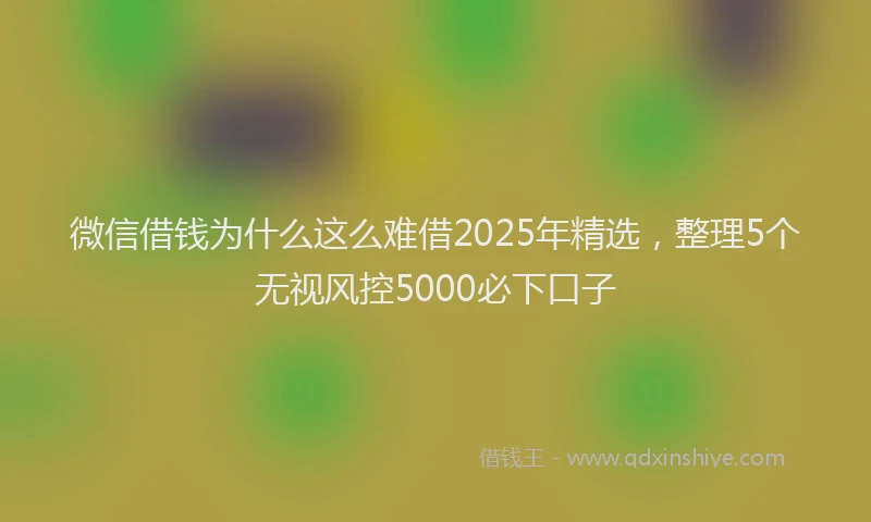微信借钱为什么这么难借2025年精选，整理5个无视风控5000必下口子