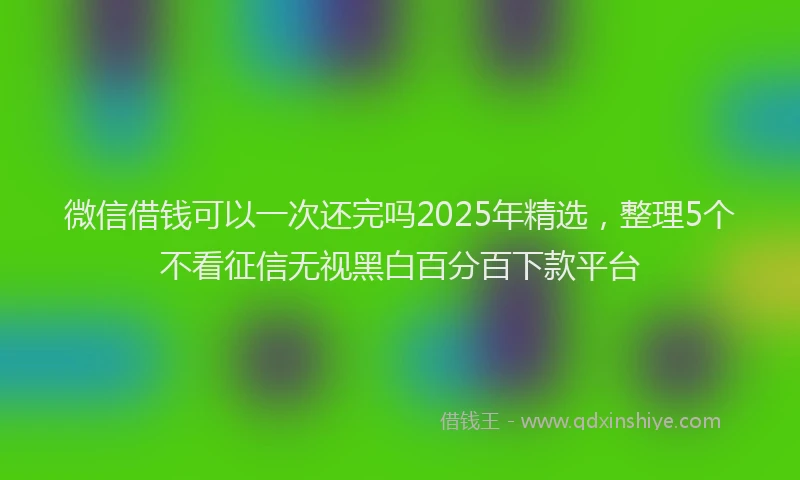 微信借钱可以一次还完吗2025年精选，整理5个不看征信无视黑白百分百下款平台