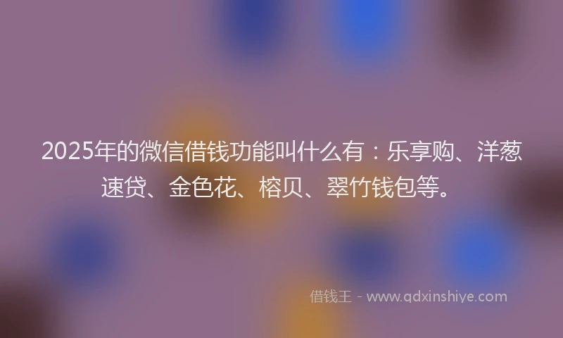 2025年的微信借钱功能叫什么有：乐享购、洋葱速贷、金色花、榕贝、翠竹钱包等。