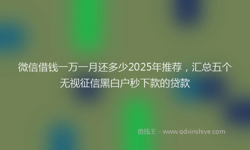 微信借钱一万一月还多少2025年推荐，汇总五个无视征信黑白户秒下款的贷款