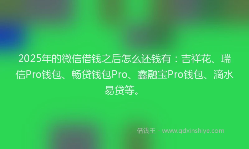 2025年的微信借钱之后怎么还钱有：吉祥花、瑞信Pro钱包、畅贷钱包Pro、鑫融宝Pro钱包、滴水易贷等。