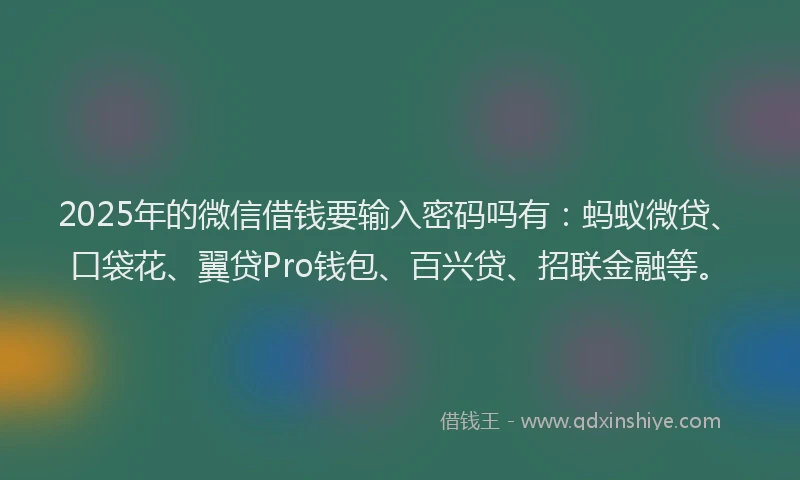 2025年的微信借钱要输入密码吗有：蚂蚁微贷、口袋花、翼贷Pro钱包、百兴贷、招联金融等。