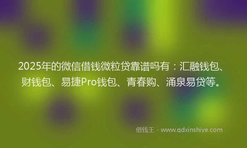 2025年的微信借钱微粒贷靠谱吗有：汇融钱包、财钱包、易捷Pro钱包、青春购、涌泉易贷等。