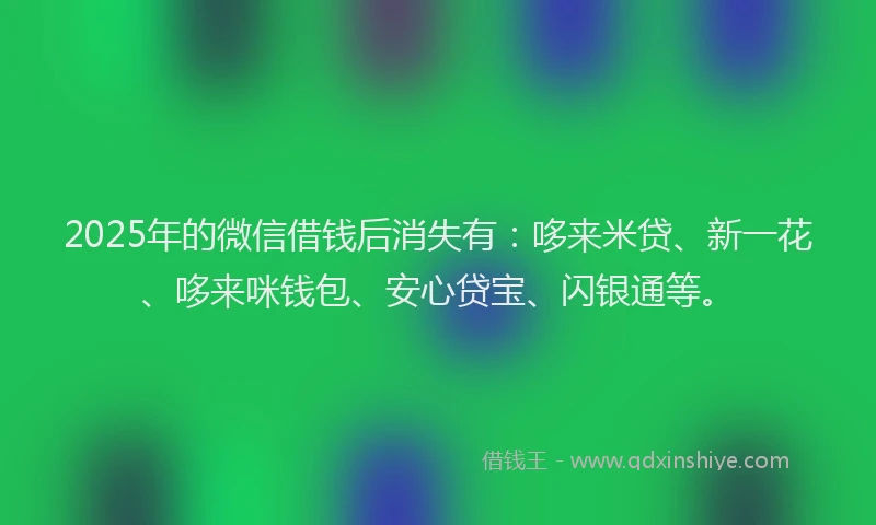 2025年的微信借钱后消失有：哆来米贷、新一花、哆来咪钱包、安心贷宝、闪银通等。
