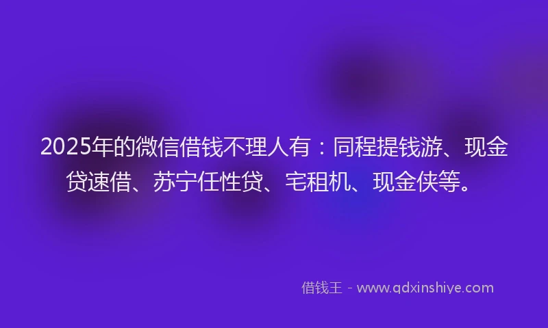 2025年的微信借钱不理人有：同程提钱游、现金贷速借、苏宁任性贷、宅租机、现金侠等。