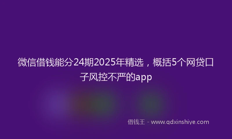 微信借钱能分24期2025年精选，概括5个网贷口子风控不严的app