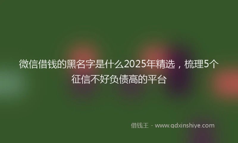 微信借钱的黑名字是什么2025年精选，梳理5个征信不好负债高的平台