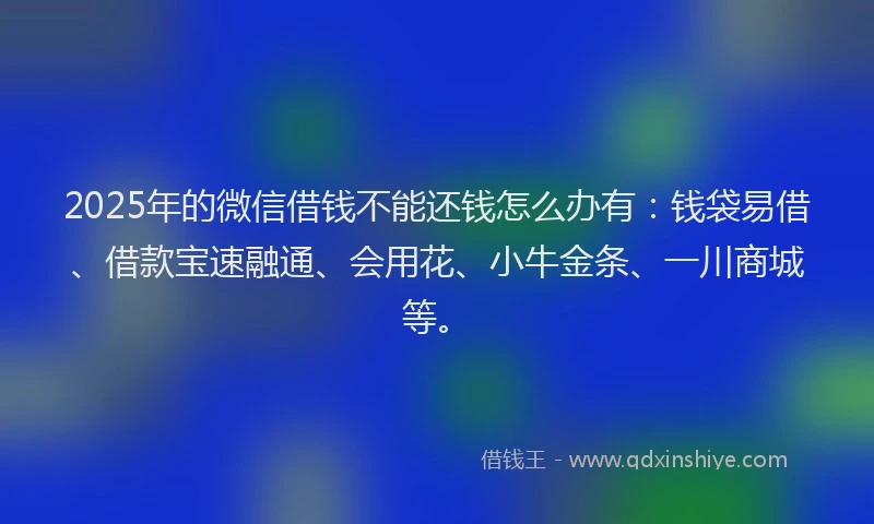 2025年的微信借钱不能还钱怎么办有：钱袋易借、借款宝速融通、会用花、小牛金条、一川商城等。