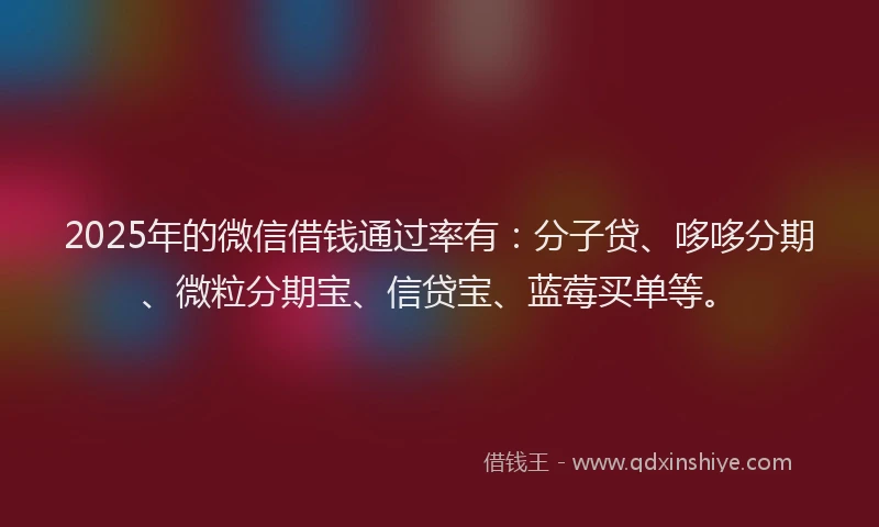 2025年的微信借钱通过率有：分子贷、哆哆分期、微粒分期宝、信贷宝、蓝莓买单等。